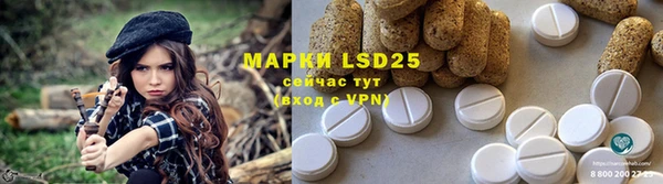 крисы Бугульма