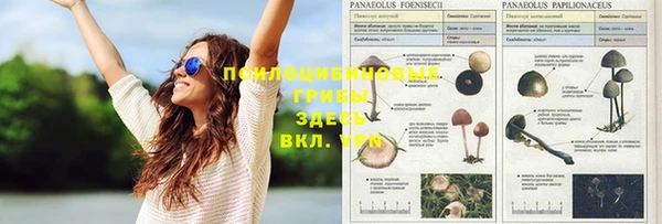 MDMA Premium VHQ Бородино