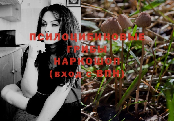 мефедрон Богородицк