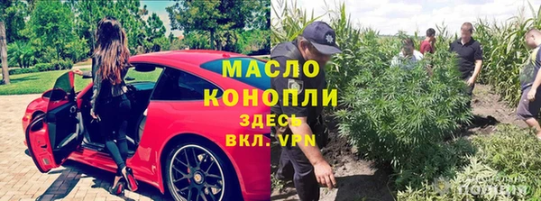 крисы Бугульма