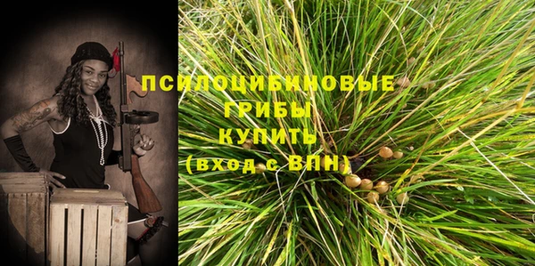 mdpv Бронницы