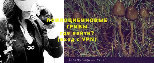 mdpv Бронницы