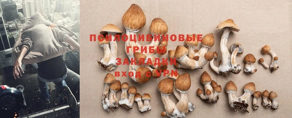 мефедрон Богородицк
