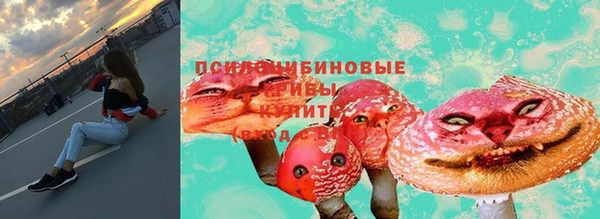 крисы Бугульма