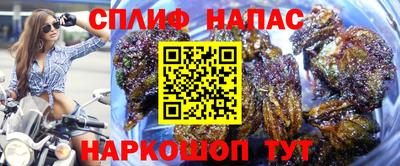 стаф Кимры