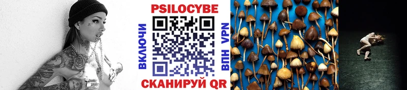 OMG мориарти формула Псилоцибиновые грибы прущие грибы Можайск