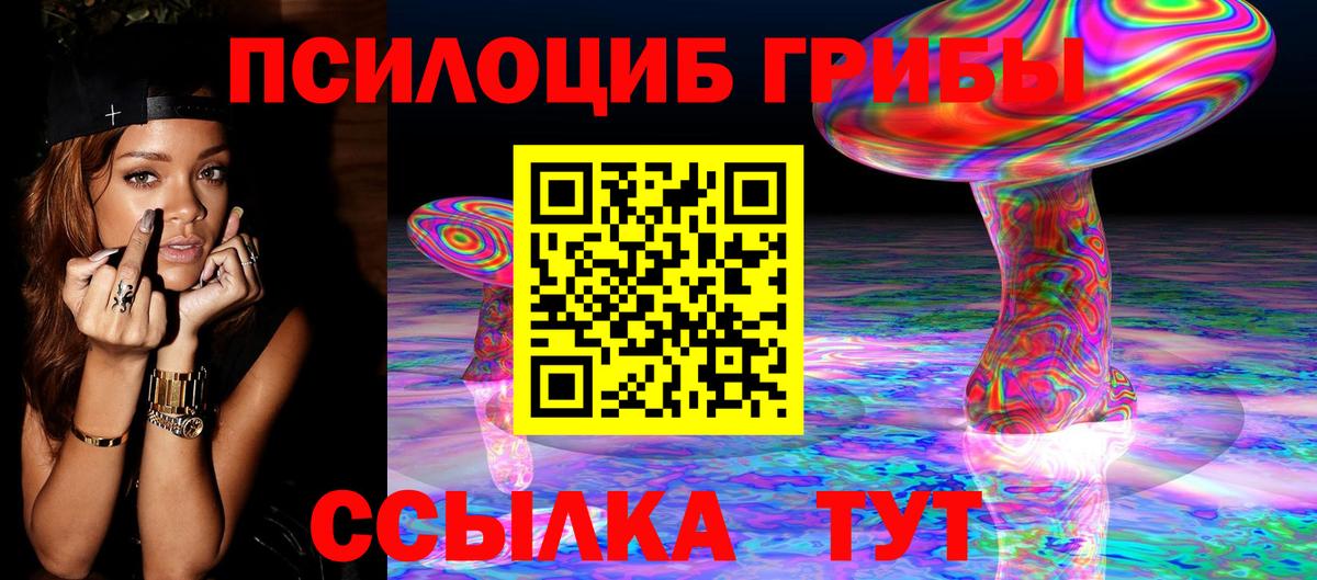 Галлюциногенные грибы Psilocybe  Галлюциногенные грибы Psilocybine cubensis  Можайск  Вход с VPN 